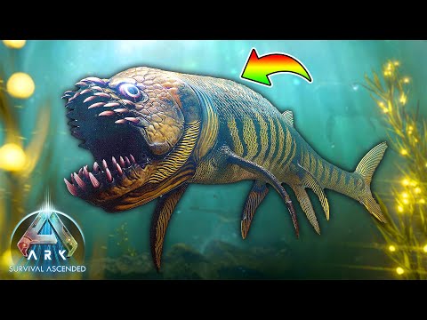 この魚が世界を制覇します！🐟 *新生物シファクティヌス*【新ARK SURVIVAL ASCENDED/アーク/ASA】#15