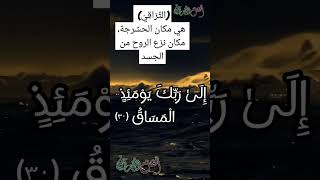 (التَّرَاقِيَ)  هي مكان الحشرجة، مكان نزع الروح من الجسد #أهل_القرآن #أهل_القرآن