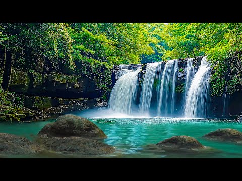 Beautiful Relaxing Music - Stop Overthinking, Stress Relief Music, Sleep Music, Calming Music #242