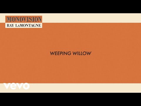 Ray LaMontagne - Weeping Willow (Lyric Video)