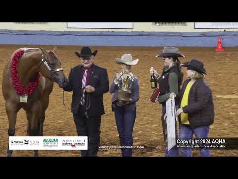 Select 2-Year-Old Mares - 2024 AQHA World Championship Show