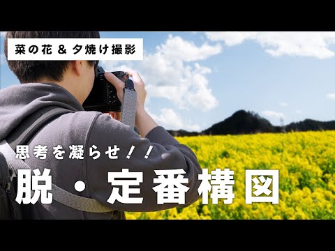 【脱・マンネリ写真】を目指せ！思考を凝らしていざ菜の花夕焼け撮影！！