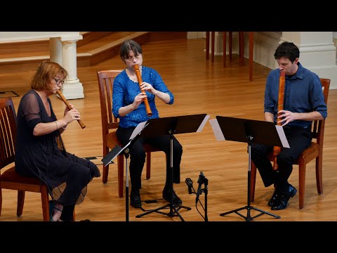 Jacob Obrecht: Tandernaken  | performed on renaissance recorders | Voices of Music 4K