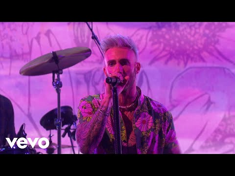 Maroon 5, Megan Thee Stallion - Beautiful Mistakes ft. Megan Thee Stallion (Live on Ellen)