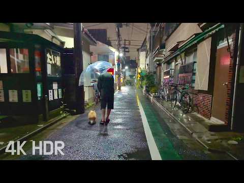 [ASMR] Relaxing Rain Sounds on a Calm Night Walk in Arakawa City | Tokyo, Japan | 4K/HDR