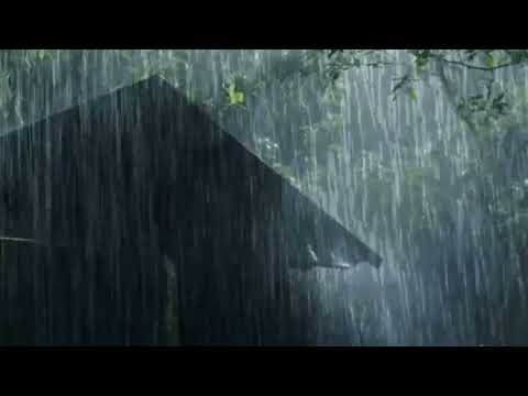 STOP Your STRESS With Calming Sound Of Rain Falling On Tree House At Night | Relaxing Rain to Sleep