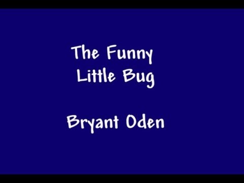 Funny Song for Kids: The Funny Little Bug