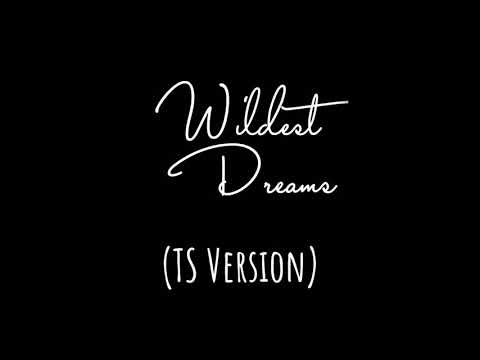 Wildest Dreams Fan-made lyric video (TS version )