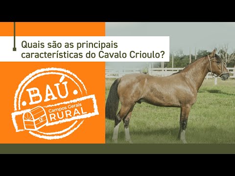 Quais são as principais características do Cavalo Crioulo?