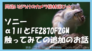 間違いだらけのカメラ機材選びch 「ソニーα1ⅡとFE2870F2GM触ってみての追加のお話」