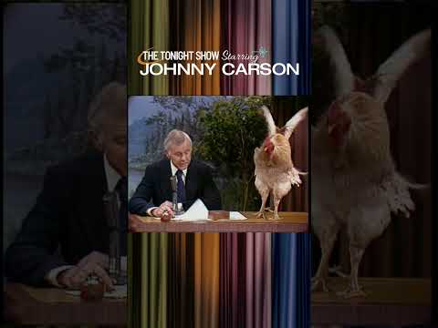 A Rooster Takes a Dump on Johnny’s Desk and Decides Not To Crow