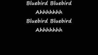 Bluebird - With Lyrics - Paul McCartney & Wings