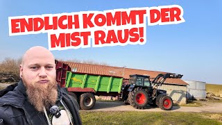 Manure spreader on the 600 BLACK BEAUTY Fendt - FarmVLOG#1070