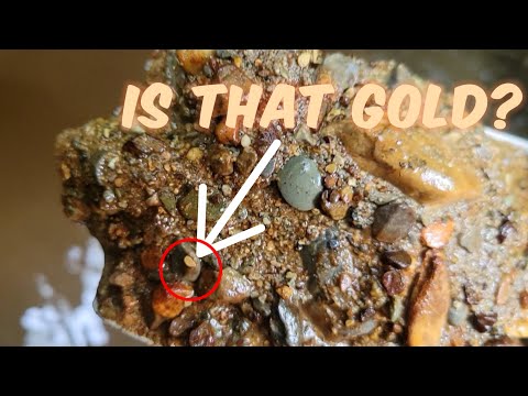 Finding Great Gold With My Puppy#howtoprospect #prospecting #gold