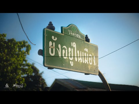 ยังอยู่ในเมือง - วิจิตรชน |visualizer|