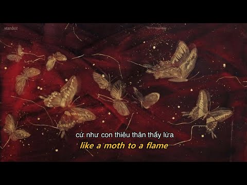 moth to a flame - swedish house mafia & the weeknd lyrics//vietsub