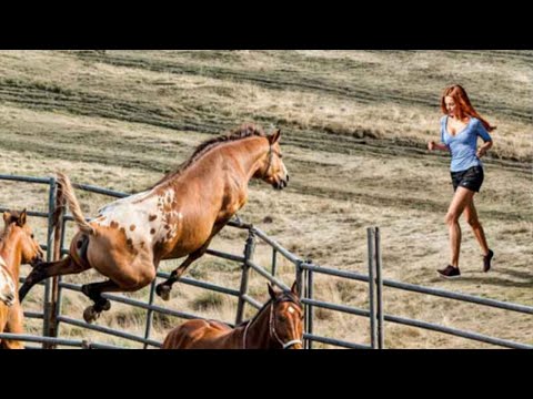 Most Heartbreaking Animal Reunions With Owners After Years !