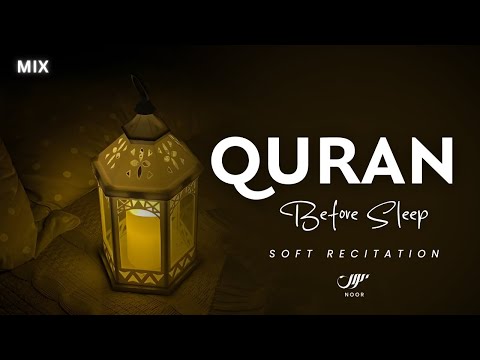 Quiet Peaceful Quran Recitation ✦ This Voice Will Melt Your Heart ✦ NOOR