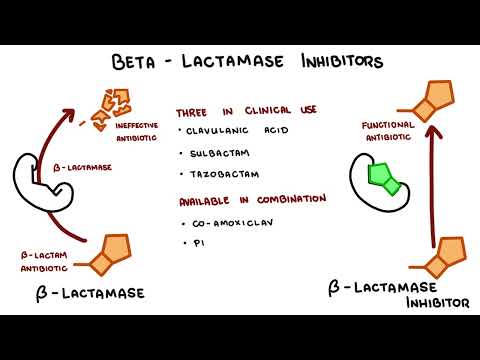 Penicillin antibiotics - Mechanism of action, side effects and resistance