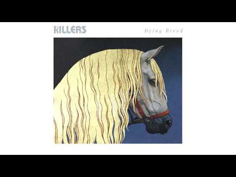 The Killers- "Dying Breed" (Visualizer Video)