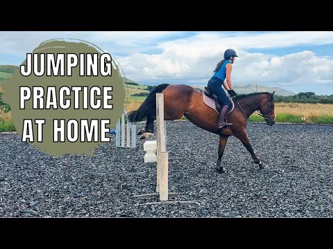 JUMPING MY HORSE AT HOME| Building confidence back up