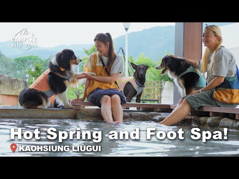 Campsite With Hot Springs | Camping with Dogs