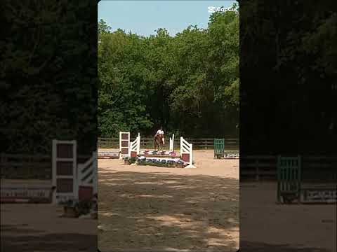 Quality is 🤮BUT ITS OUR FIRST EVER TRIPLE BAR