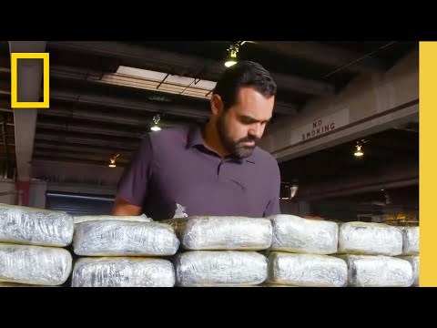 🔴 LIVE: Drugs in the City | To Catch a Smuggler | S4 FULL EPISODES