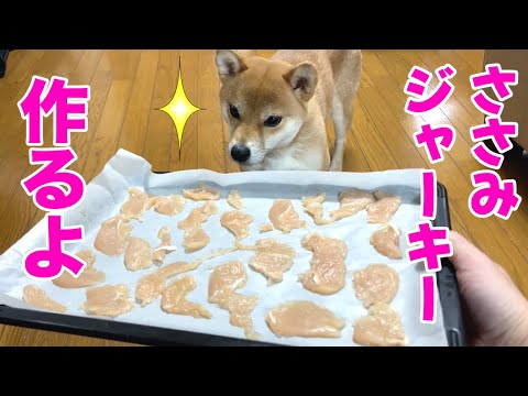 【挑戦】ささみの手作りジャーキー作ってみたら美味しすぎた！　柴犬小夏