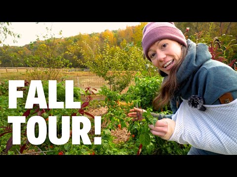 Your Lazy Garden Starts NOW! | FULL Fall Garden Tour 2023!