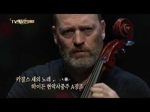 [방송예고] 카잘스 콰르텟(Cuarteto Casals) 내한공연 #새의노래 #포항음악제