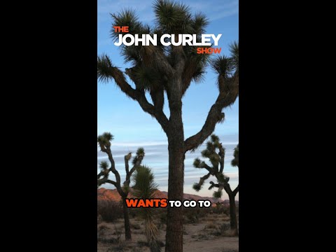 John Curley's Thoughts on Joshua Tree National Forrest