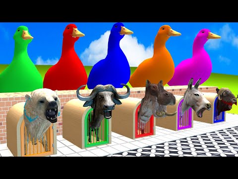 5 Giant Duck Cartoon,Cow,Elephant,Tiger,Lion,Dinosaur,Paint Wild Animals Crossing Fountain Animation