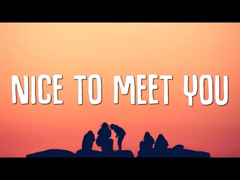 Myles Smith - Nice To Meet You (Lyrics)