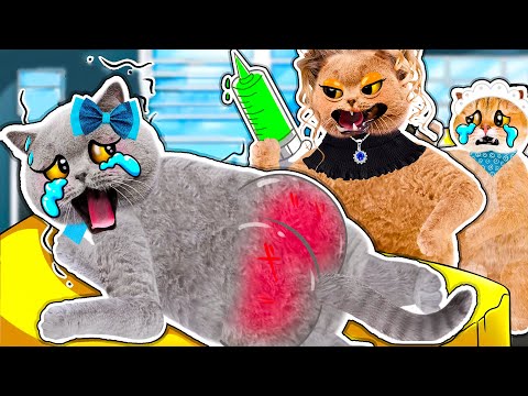 Poor Baby Cat Life: Daddy Cat, are you sick!|| Sad Story Cat Life Animation