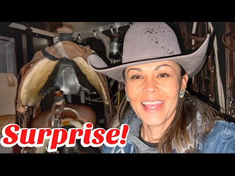 What horse got SOLD??? | WHERE HAVE WE BEEN???