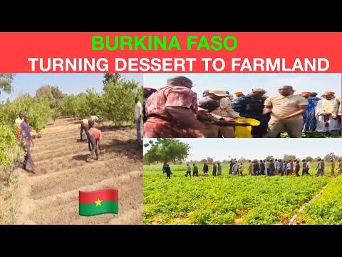 Burkina Faso Agricultural Revolution: Prime Minister Surprise Visit To The Farm …