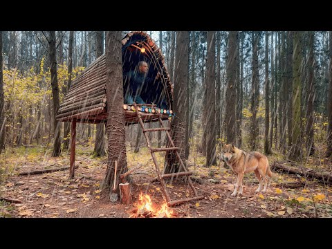 Built a cozy wooden shelter for survival in a cold forest! Bushcraft camping in the wild.