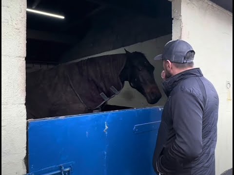 When you buy the perfect horse but it all goes wrong!!