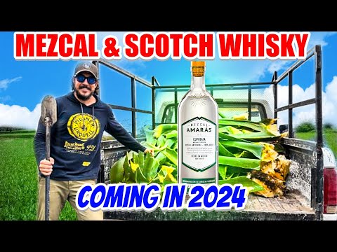 New Episodes About Mezcal & Scotch Whisky Coming In 2024.