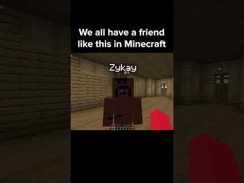 Minecraft Friend Moment