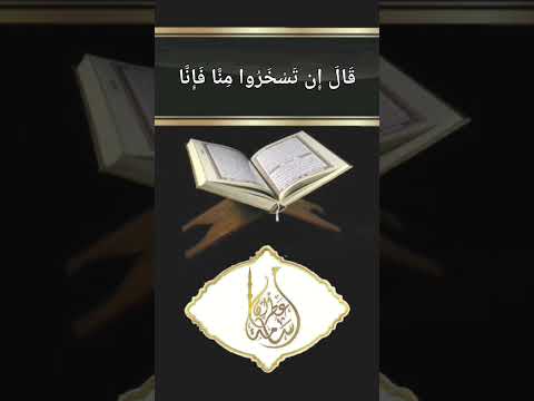 وَيَصْنَعُ الْفُلْكَ وَكُلَّمَا مَرَّ عَلَيْهِ | القارئ أسامة عطران