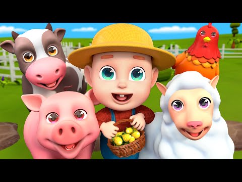 Moo Moo 🐄 Oink Oink ! 🐷 | Baby Farm Animals Song + Old Macdonald | Rosoo Nursery Rhymes & Kids Songs