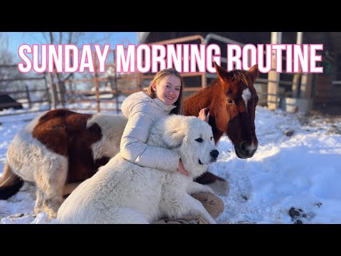 CHURCH Morning Routine With 50+ ANIMALS | CHAOTIC!!