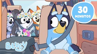 Bluey Diversão com as Meninas das Flores 🌸 | Bluey Português Brasil Canal Oficial