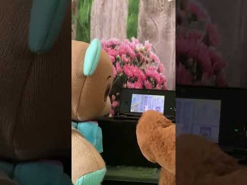 Thready Teddy & Cubby Bear Watch Teddy TV (Together Teddy for Nintendo 3DS) #teddybear #teddy #cute