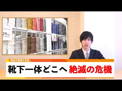 どうでもいい日常のニュース【11月編】