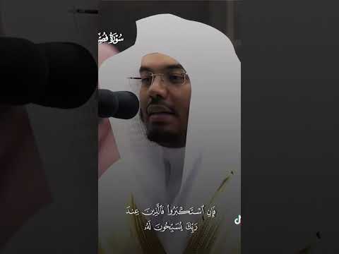 تلاوة جميله للشيخ ياسر الدوسري