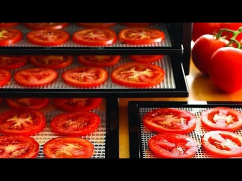 8 Best Food Dehydrator Reviews [Update 2020]