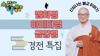 법화경 아미타경 금강경ㅣ경전특집ㅣ광우스님 소나무 ㅣ몰아보기